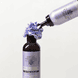 Blonde Story Whip Mousse Extra Violet