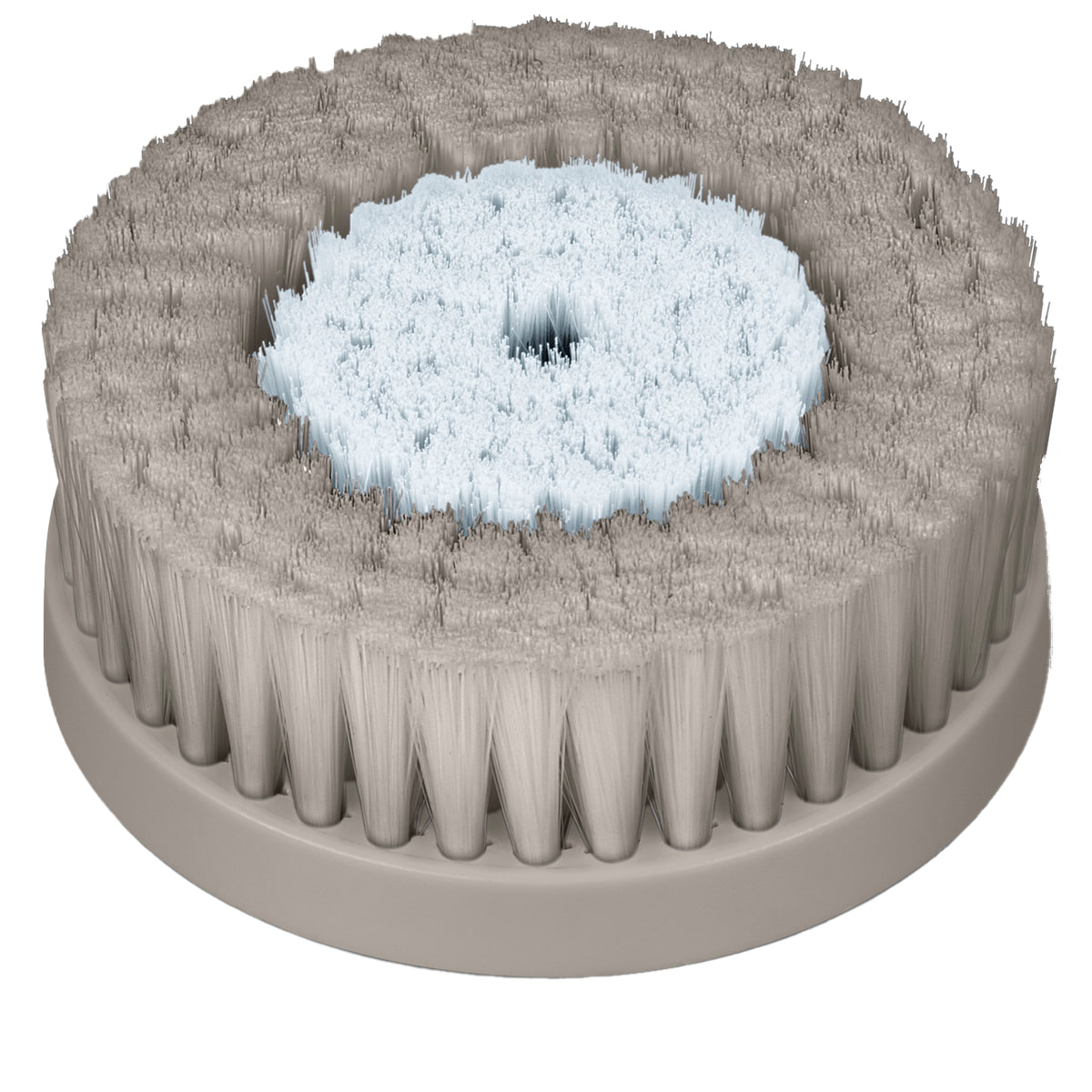 Facial Brush FC 59