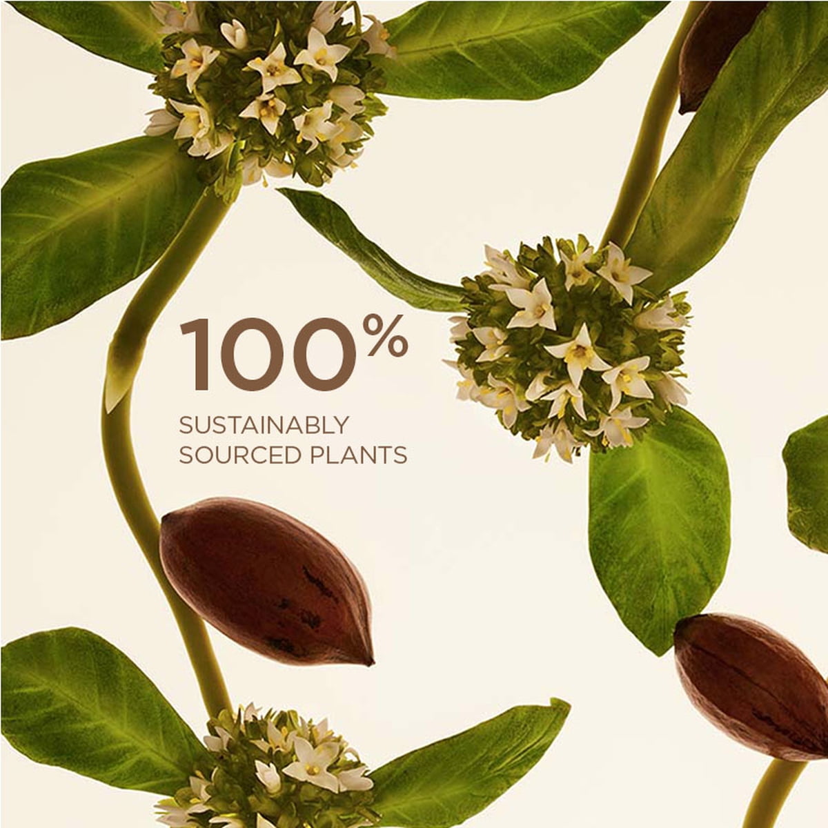 Extra-Firming Day Cream SPF15 [COLLAGEN]³ Technology