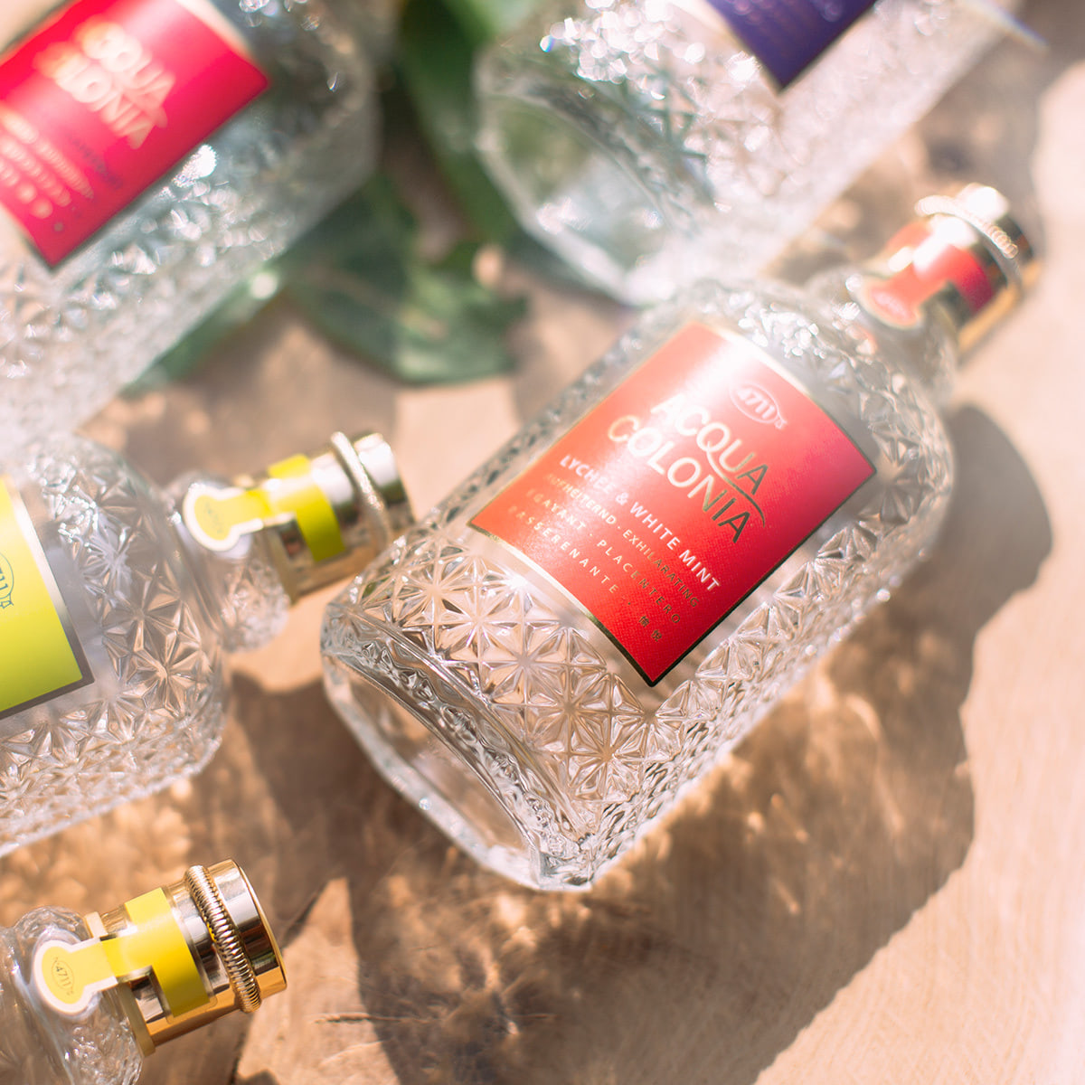 White Peach & Coriander Eau de Cologne