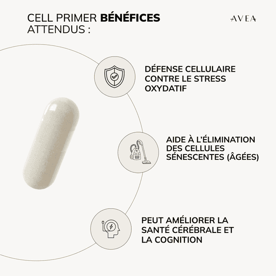 Cell Primer
