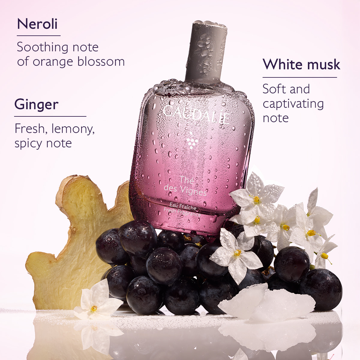 Fresh Fragrance