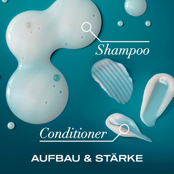 Argan Oil of Morocco Shampoo