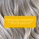 Blond Glanz & Pflege Shampoo