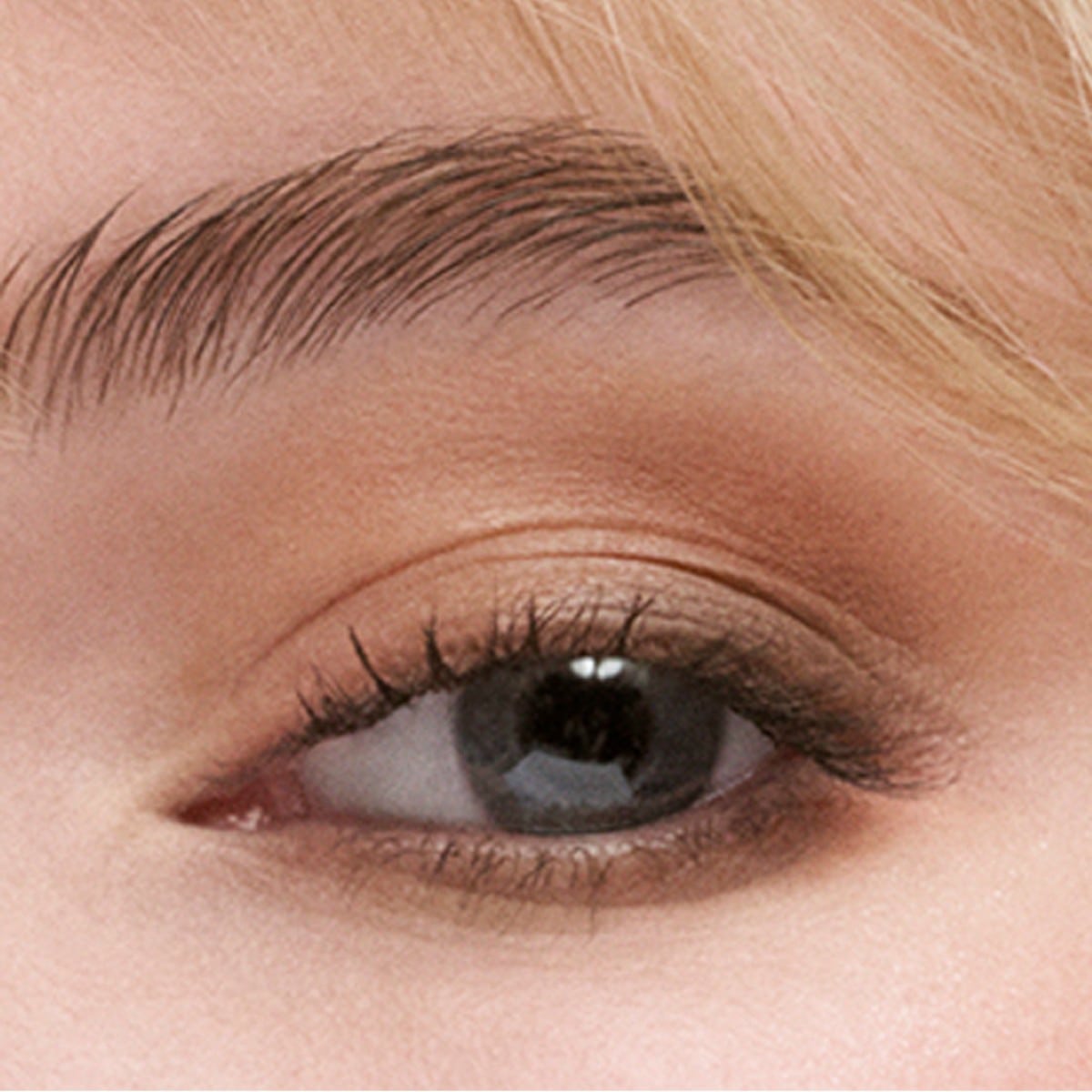 Pure Color the Essential Eyeshadow Quad - Gallery Hop