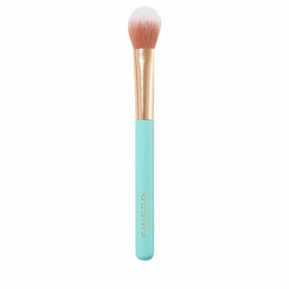 05 Highlighter Brush