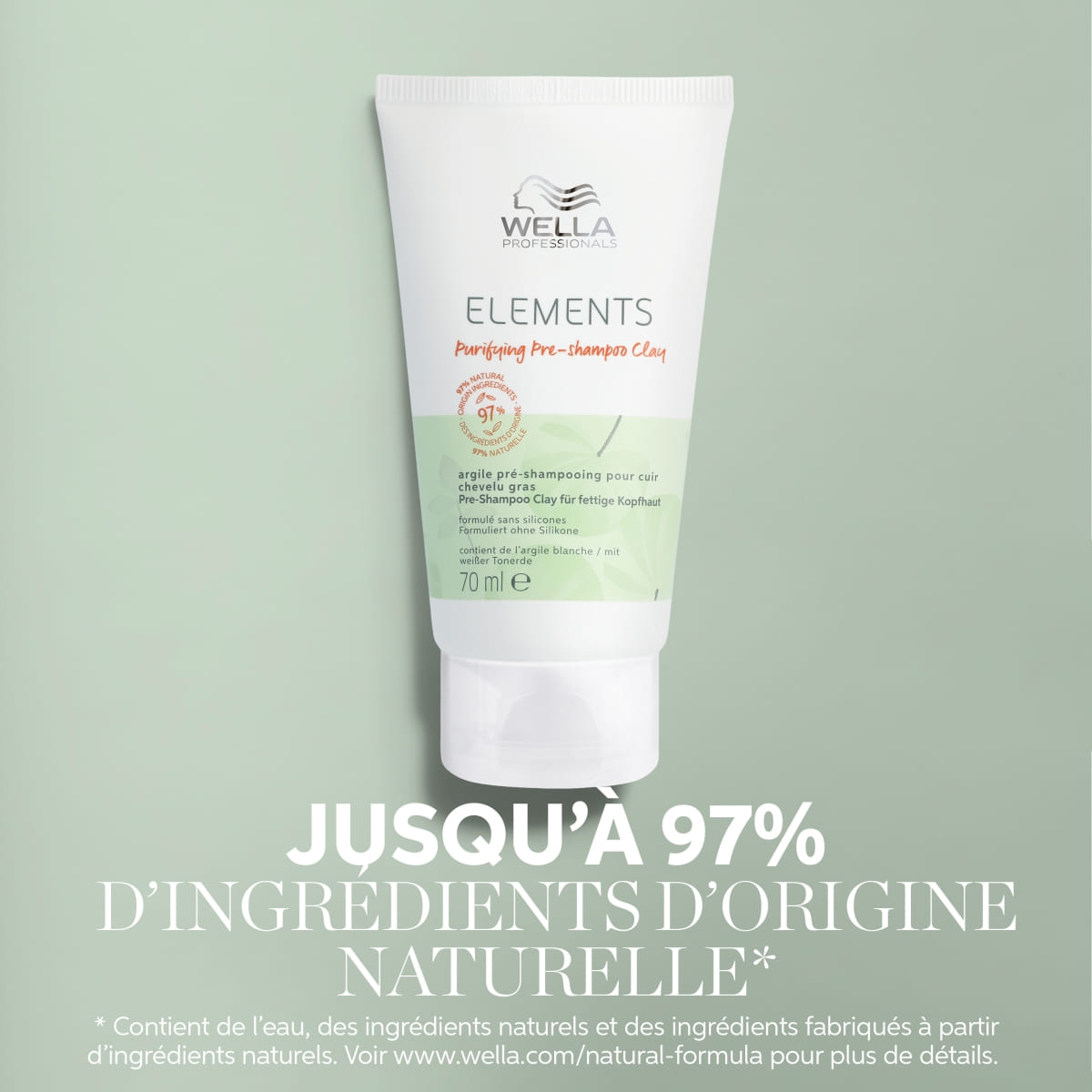 Purifying Pre-Shampoo Clay