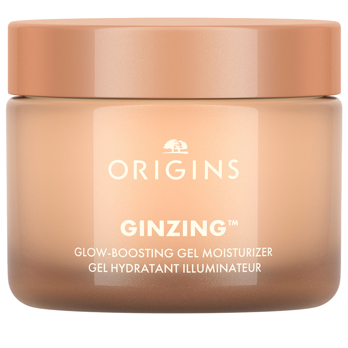 GinZing Glow-Boosting Gel Moisturizer