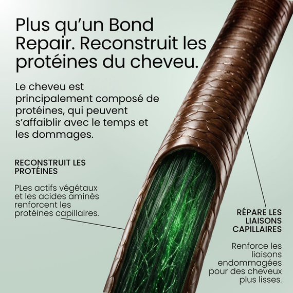 Protein-Repair Conditioner