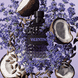 Born in Roma Purple Melancholia Uomo