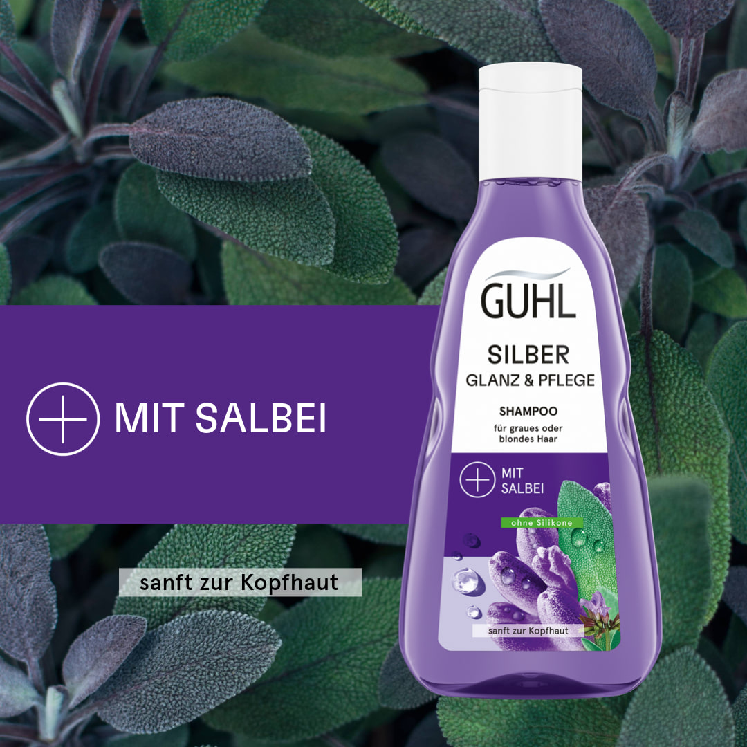 Silberglanz & Pflege Shampoo