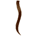 Tape Extensions 40/45 cm - Ombre 4/14, brown/light golden blond copper