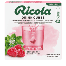 Drink Cubes Raspberry Lemon Balm Sugar Free