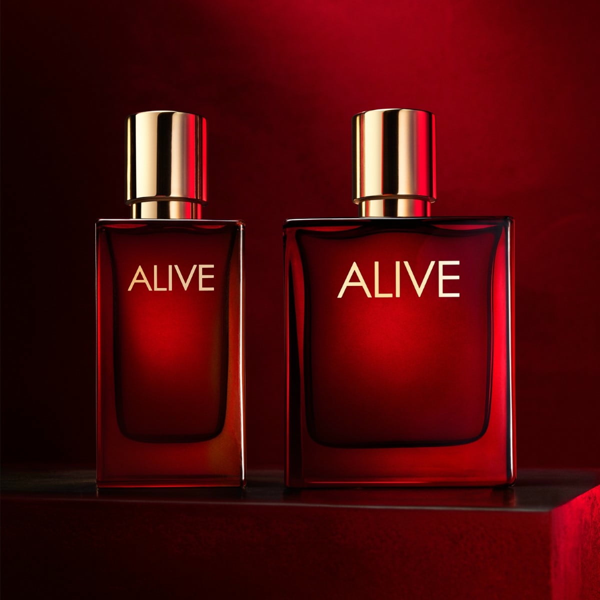 Absolu Parfum Intense