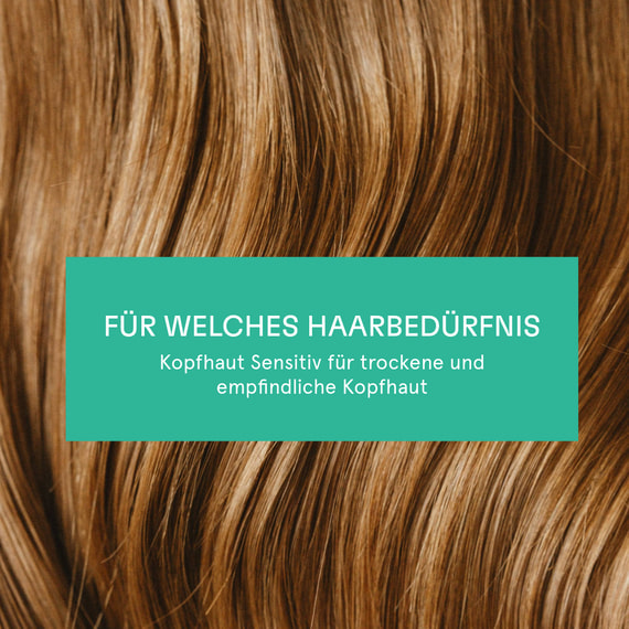 Kopfhaut Sensitiv Shampoo