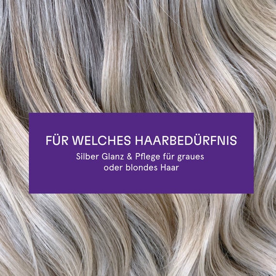 Silberglanz & Pflege Shampoo