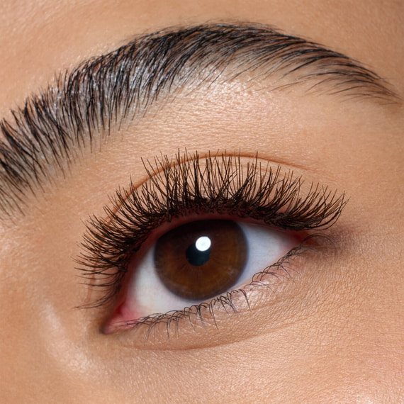 Faked Brown Cluster Lashes