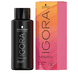 Igora