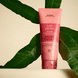 Nutriplenish Curl Gelee