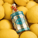 Original Eau de Cologne Molanus Bottle