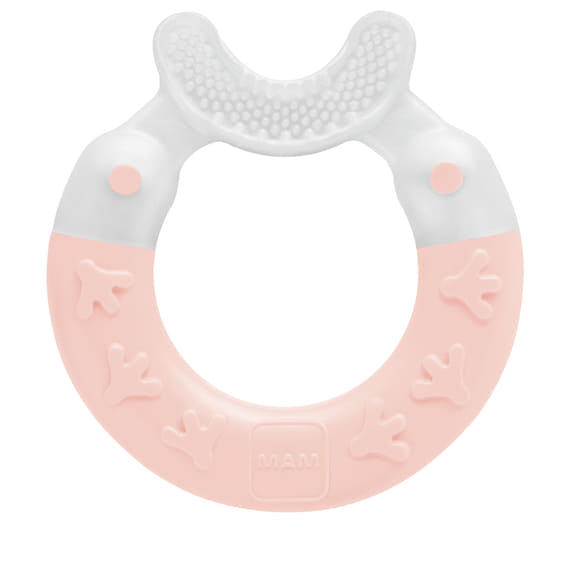 Anello da dentizione Bite & Brush, 3m+