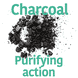Deep Pore Cleansing Nose Strips with Charcoal - 5 Strips