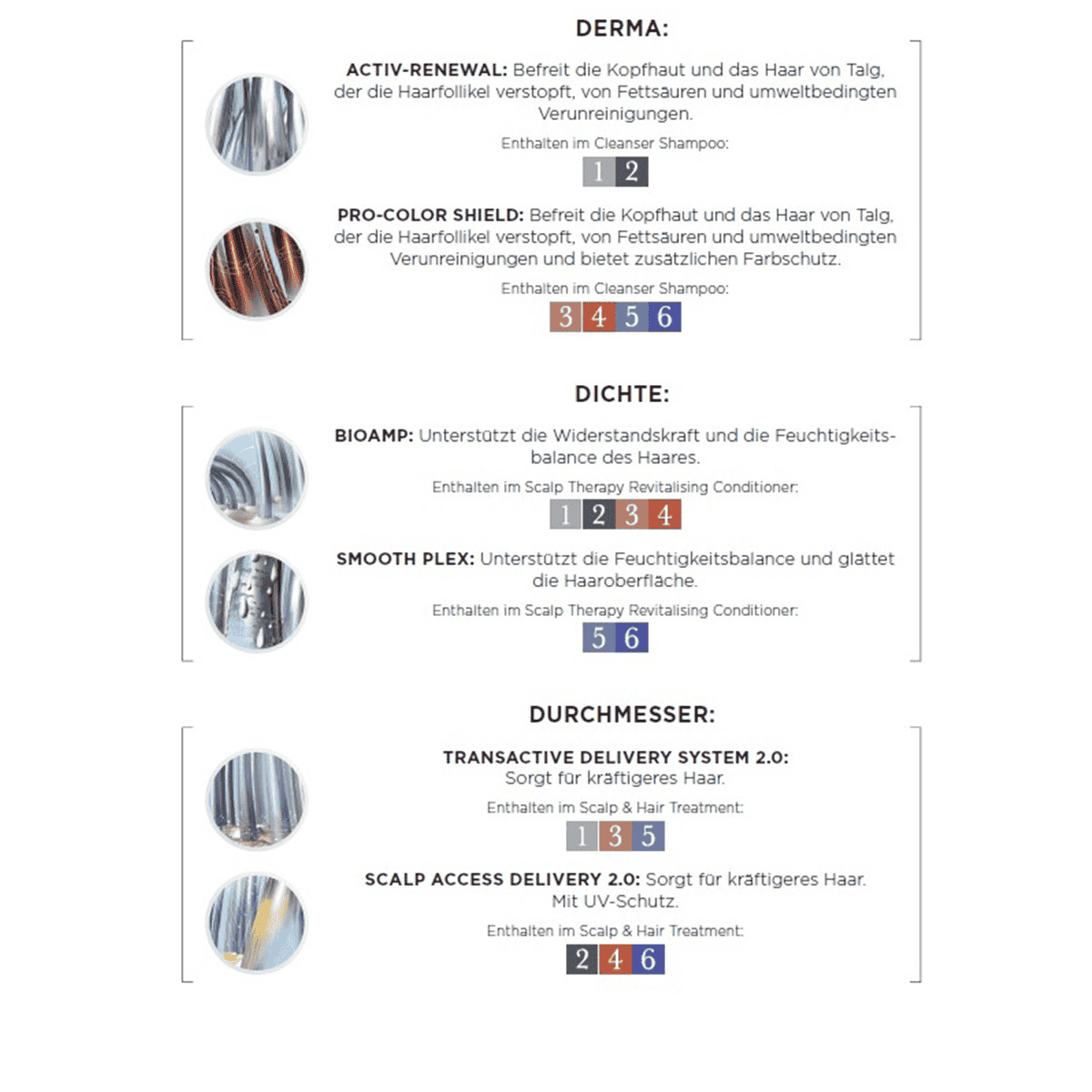 Cleanser Shampoo 4
