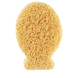 Silver Ion Sponge Fish