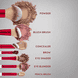 Prime Vegan Memories Brush Set