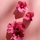 Duschgel Waterlily & Oil Duo