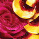 Body Mist Peachy 