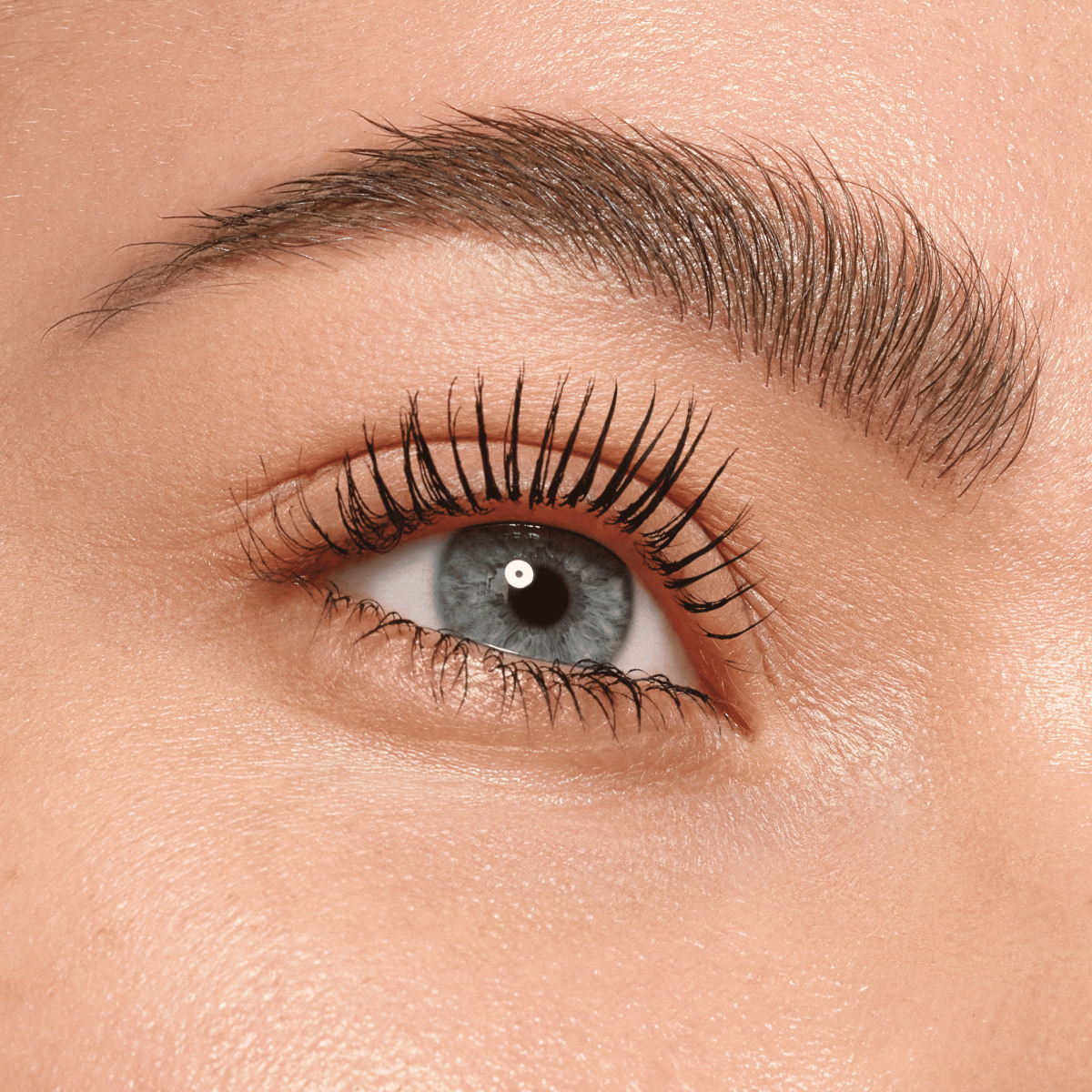 All In One Brow Perfector