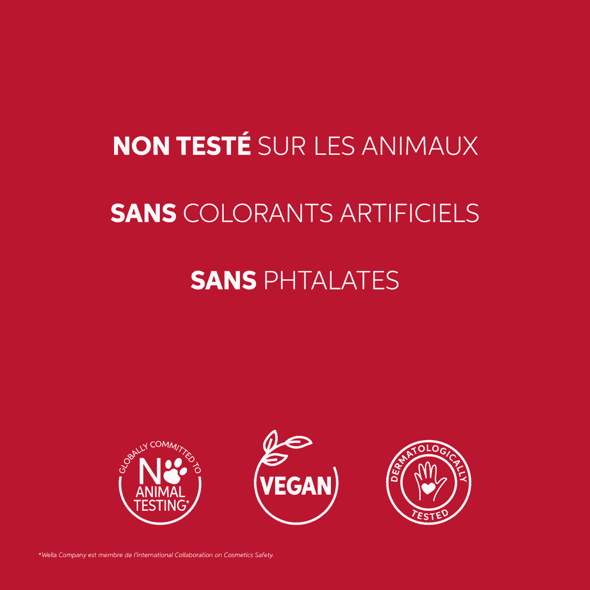 Après-Shampooing Soin Profond