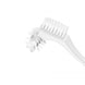 BDC Brosse pour prothèses dentaires