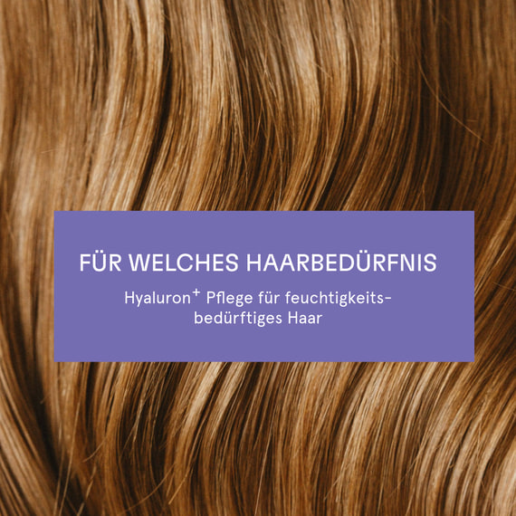 Feuchtigkeits-Spülung