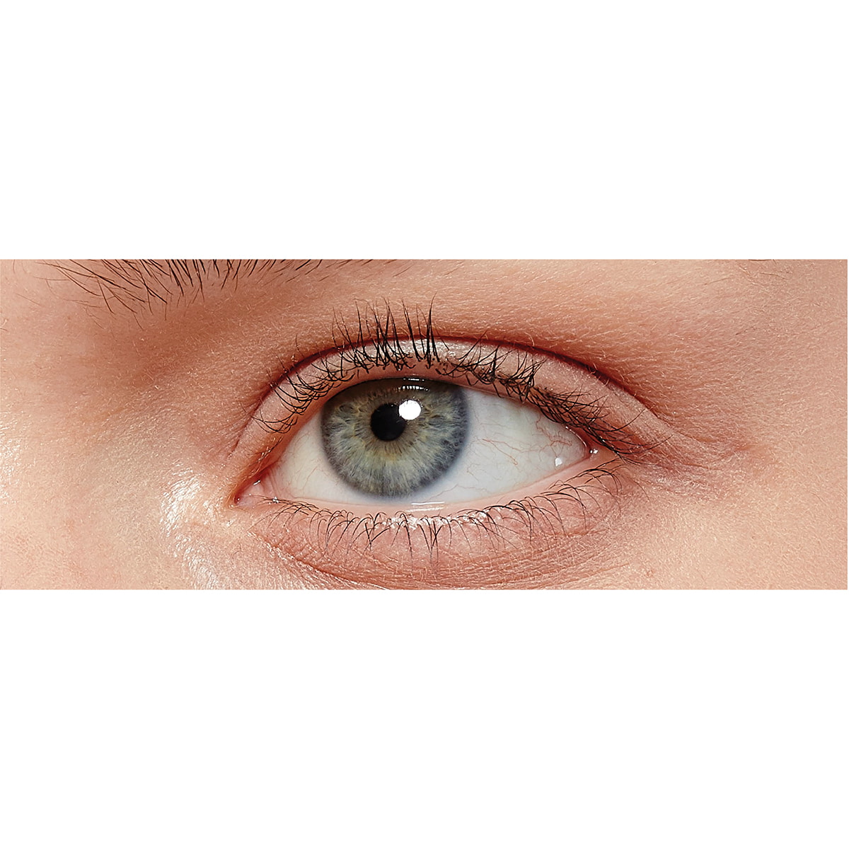 False Lash Black