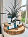 Shampoing cheveux bouclés