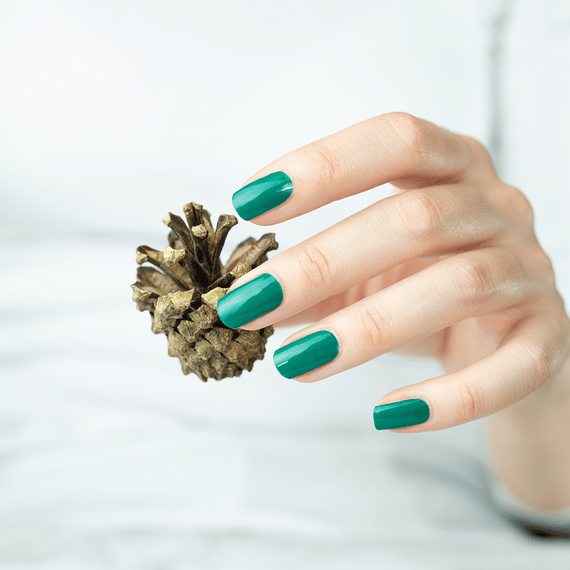 Petrol Green
