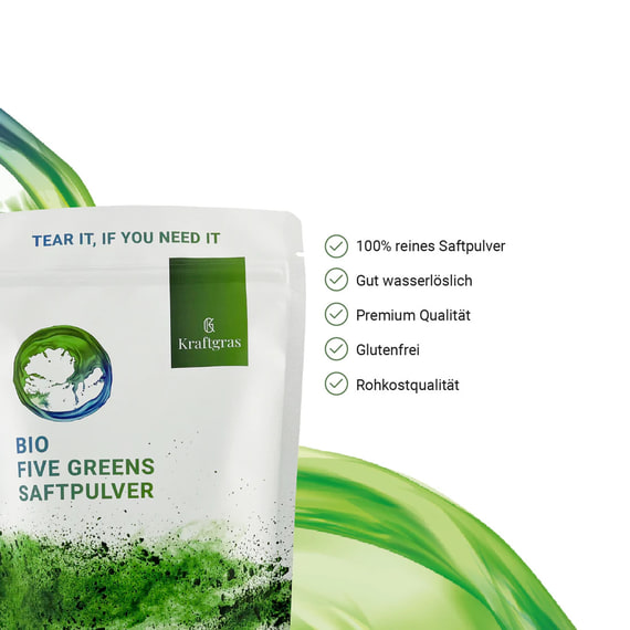 Succo in Polvere Bio Five Greens