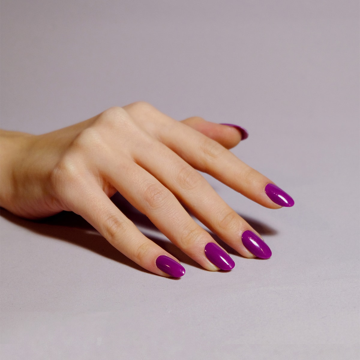 Bizarre Beauty