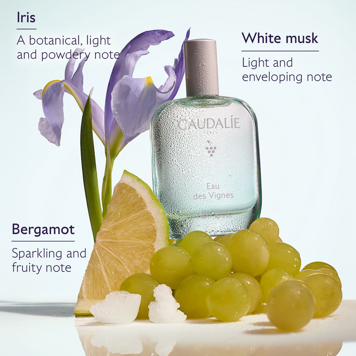 Fresh Fragrance