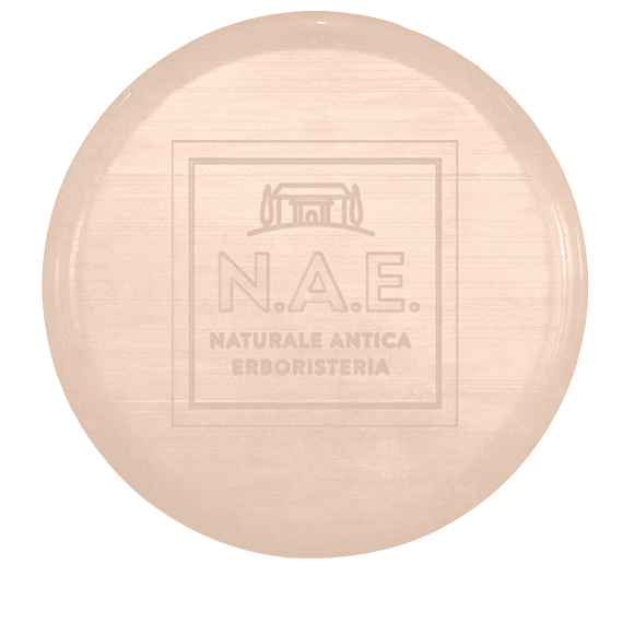 Riparazione Reparierendes Festes Shampoo