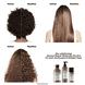Absolut Repair Molecular Shampoo