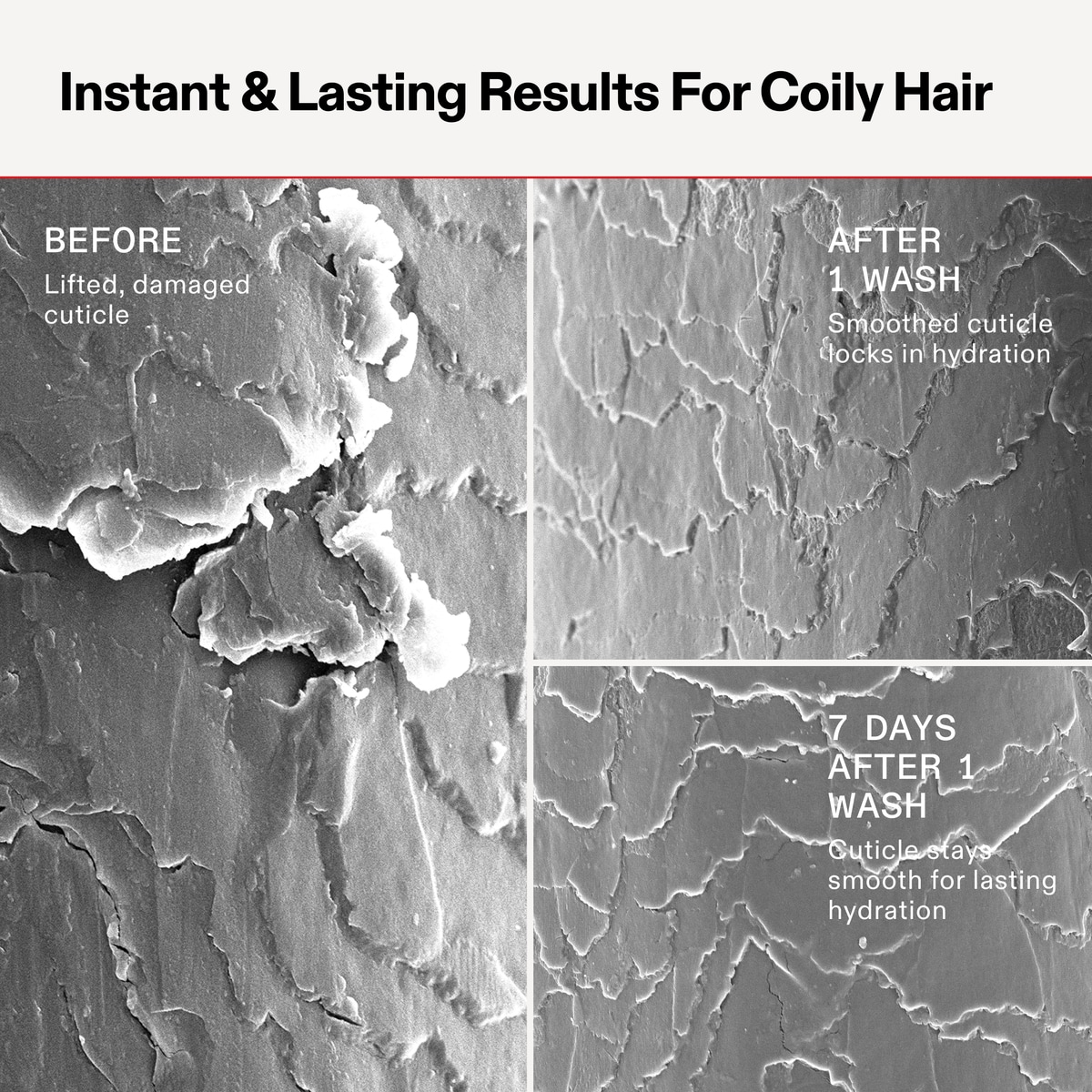 Nº 5 Hydrating Curl Conditioner