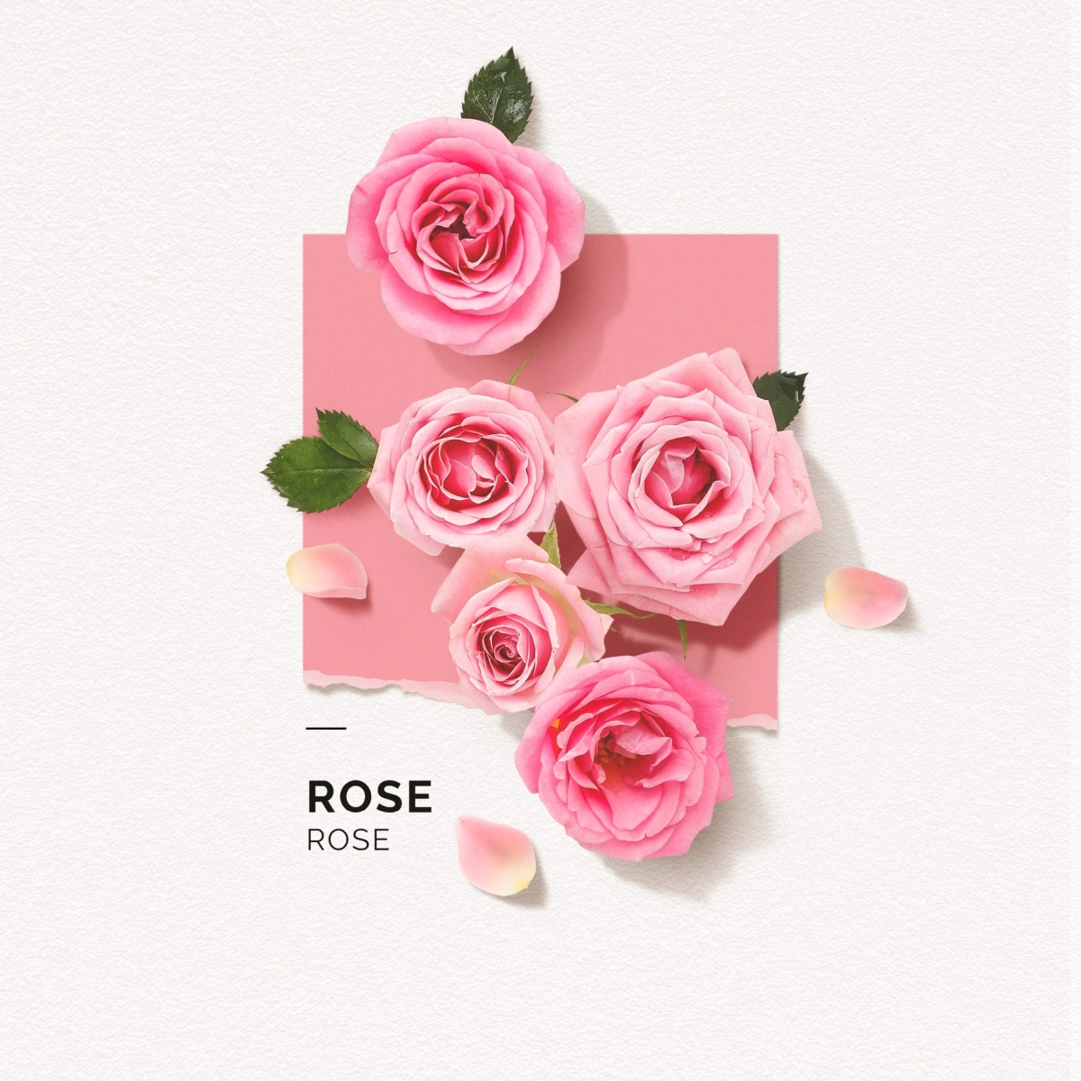 Eau de Parfum Rose