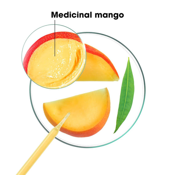 Nourishing Conditioner for Dry Hair with Mango