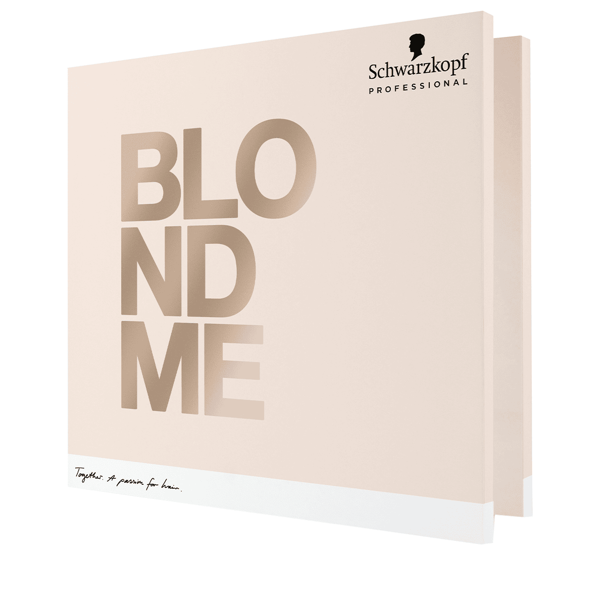 Scheda colore BlondMe