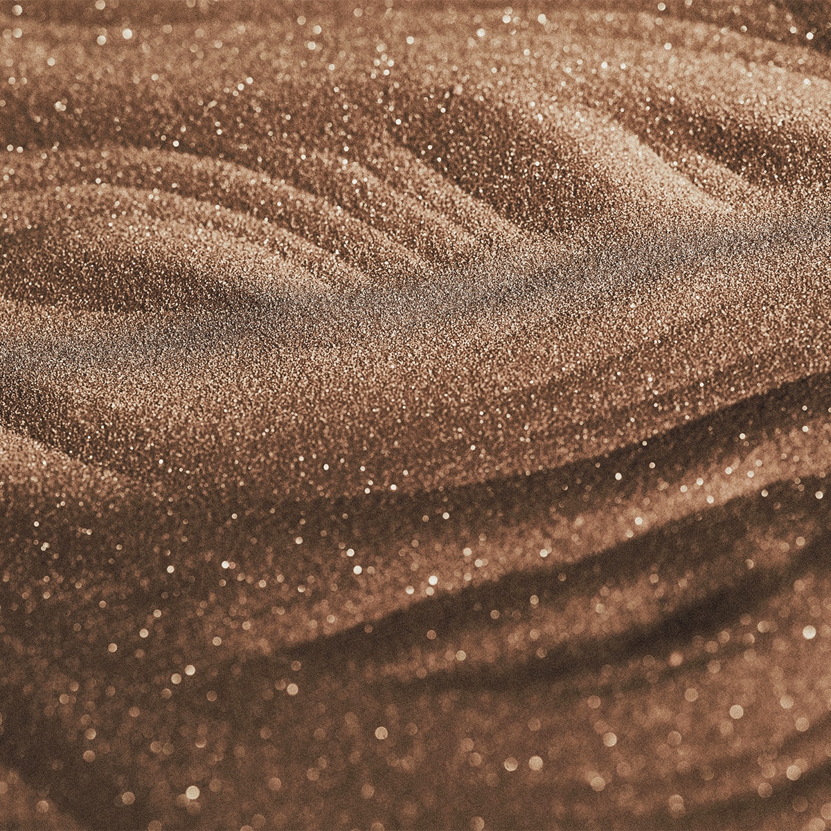 L'Orchidée Highlighter
