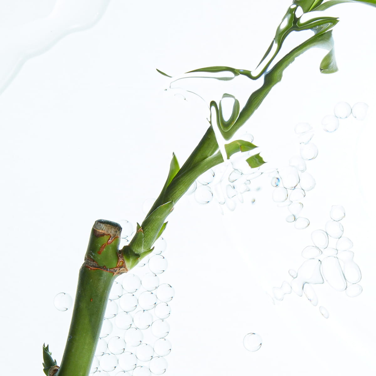 Sensitive Pflegedusche XL