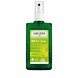 24h Deo Spray Citrus